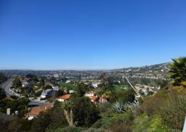 Broad hillside view of a suburban neighborhood with houses, trees, and roads.