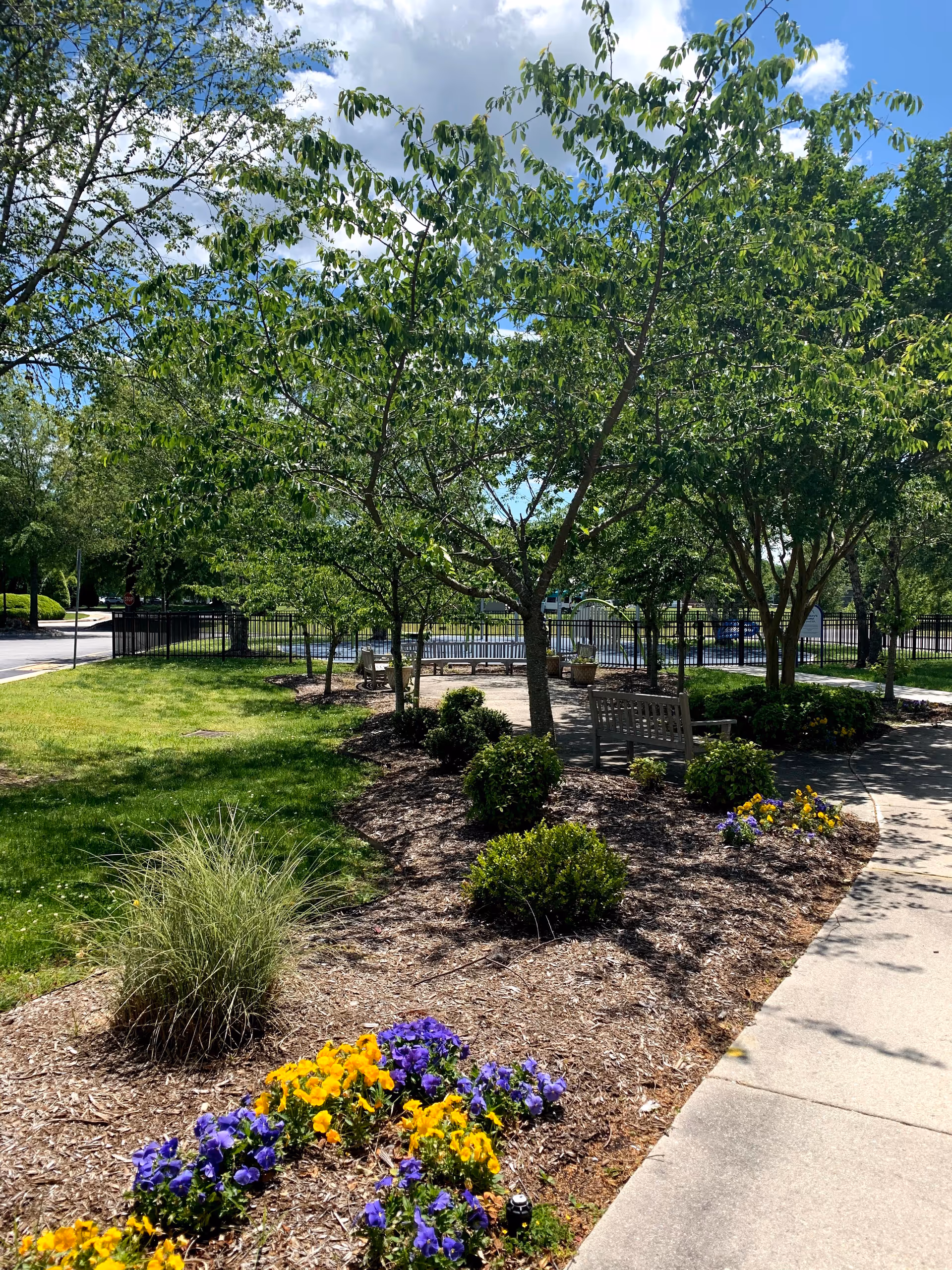 A landscaped outdoor seating area with trees, benches, and colorful flowers.