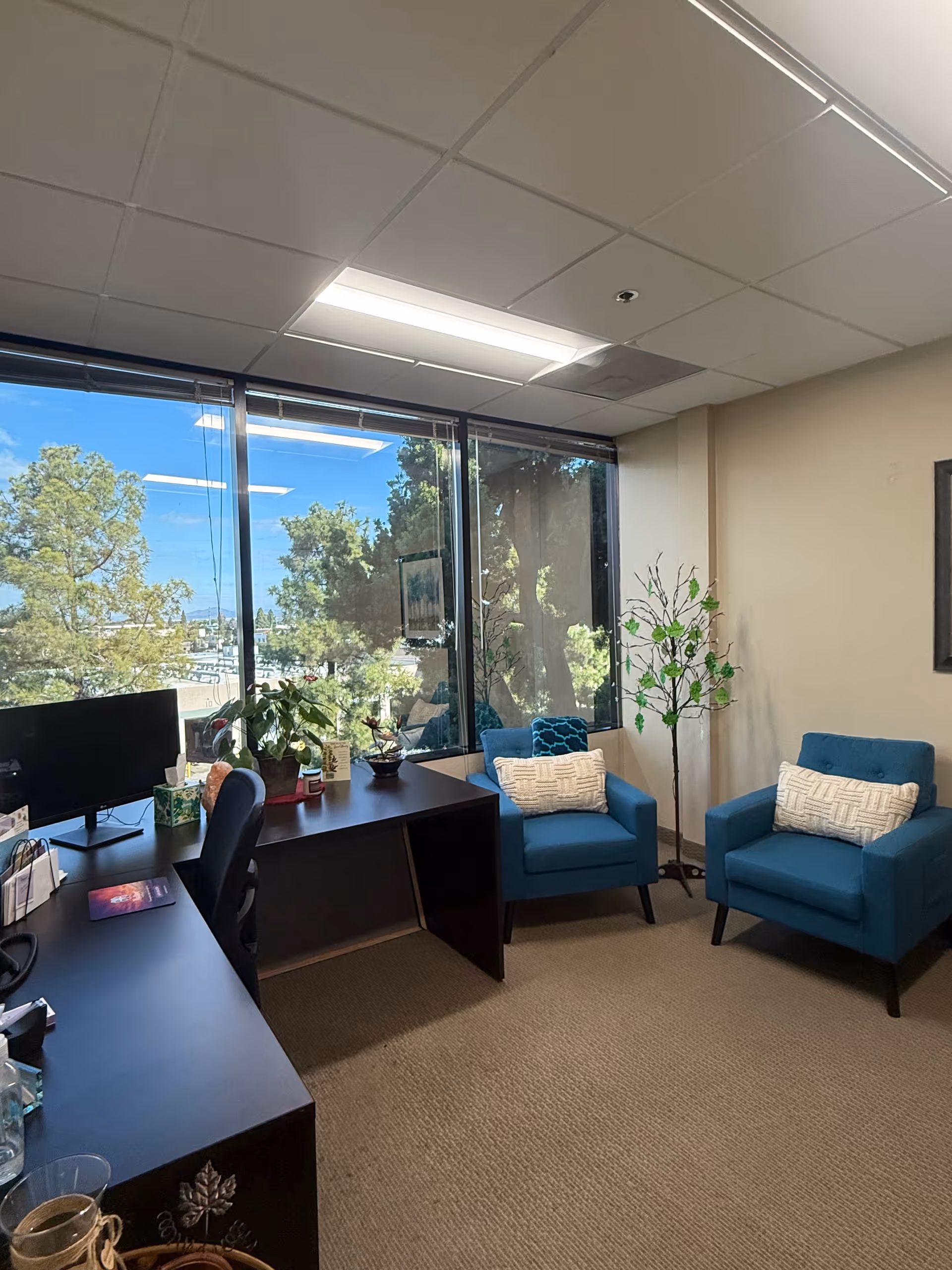 Interior office lounge with blue armchairs, a desk, plants, and a large window overlooking trees.