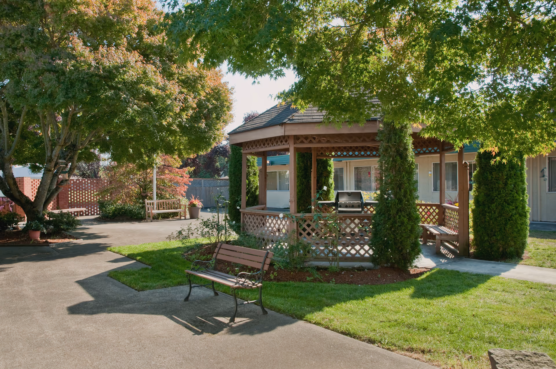 Outdoor courtyard area with a wooden gazebo surrounded by greenery and trees. There are benches placed on the paved walkway and grass, with a barbecue grill inside the gazebo. The background shows part of a building with windows and doors.