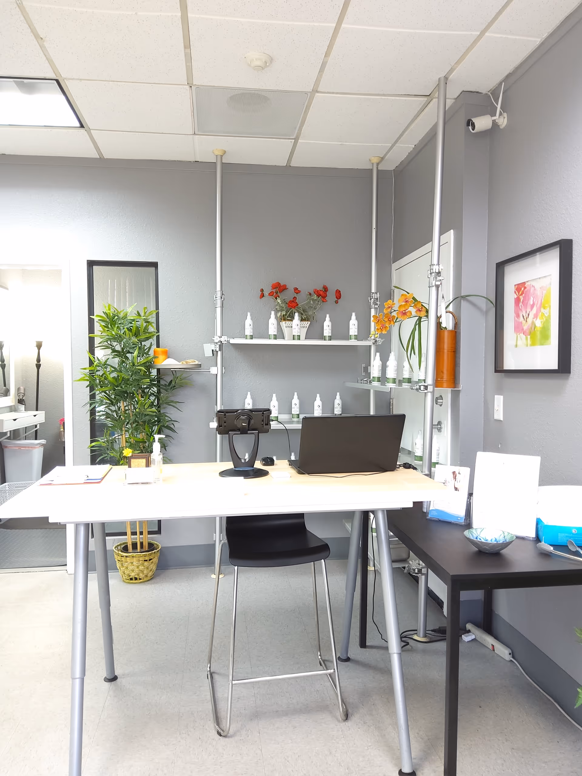 Reception workspace with laptop, bottles on shelves, and potted plants.
