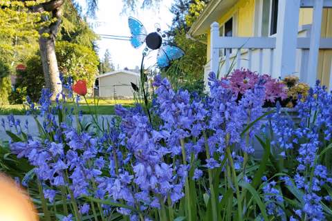 Purple flowers border a white porch at Liberty AFH exterior on a sunny day.