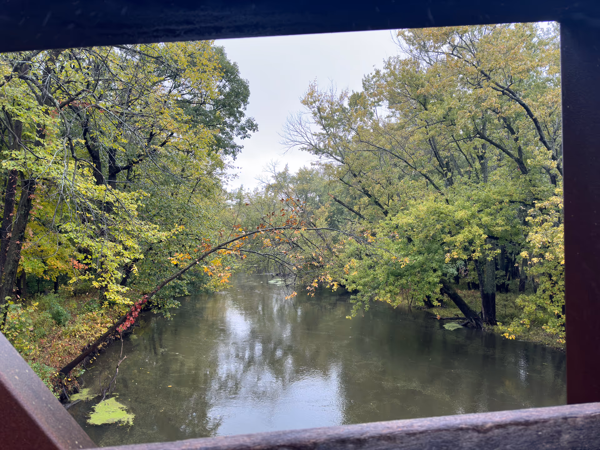 Calm river with tree-lined banks seen through a wooden railing on a bridge.
