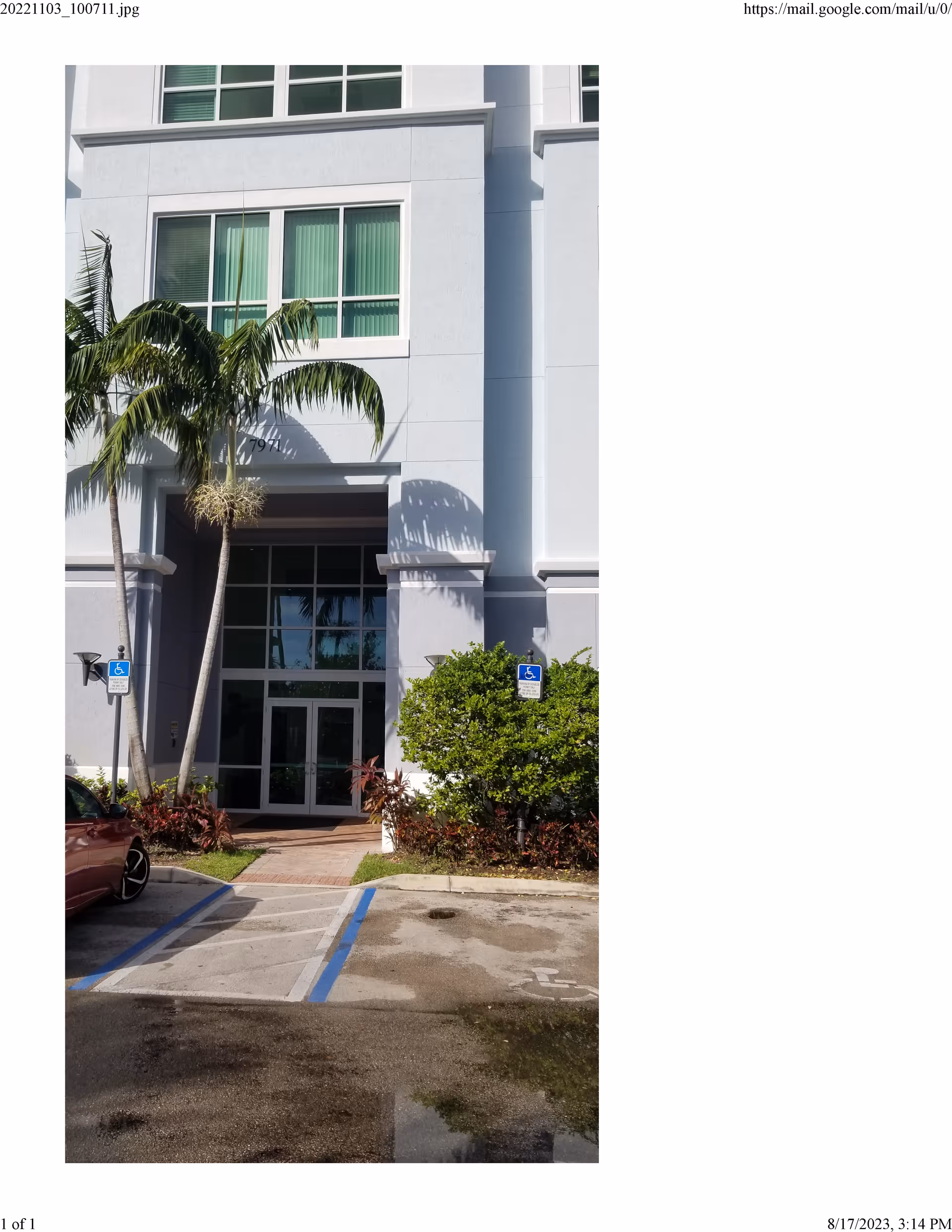 Modern light-gray building entrance with glass doors, palm trees, and handicap parking signs.