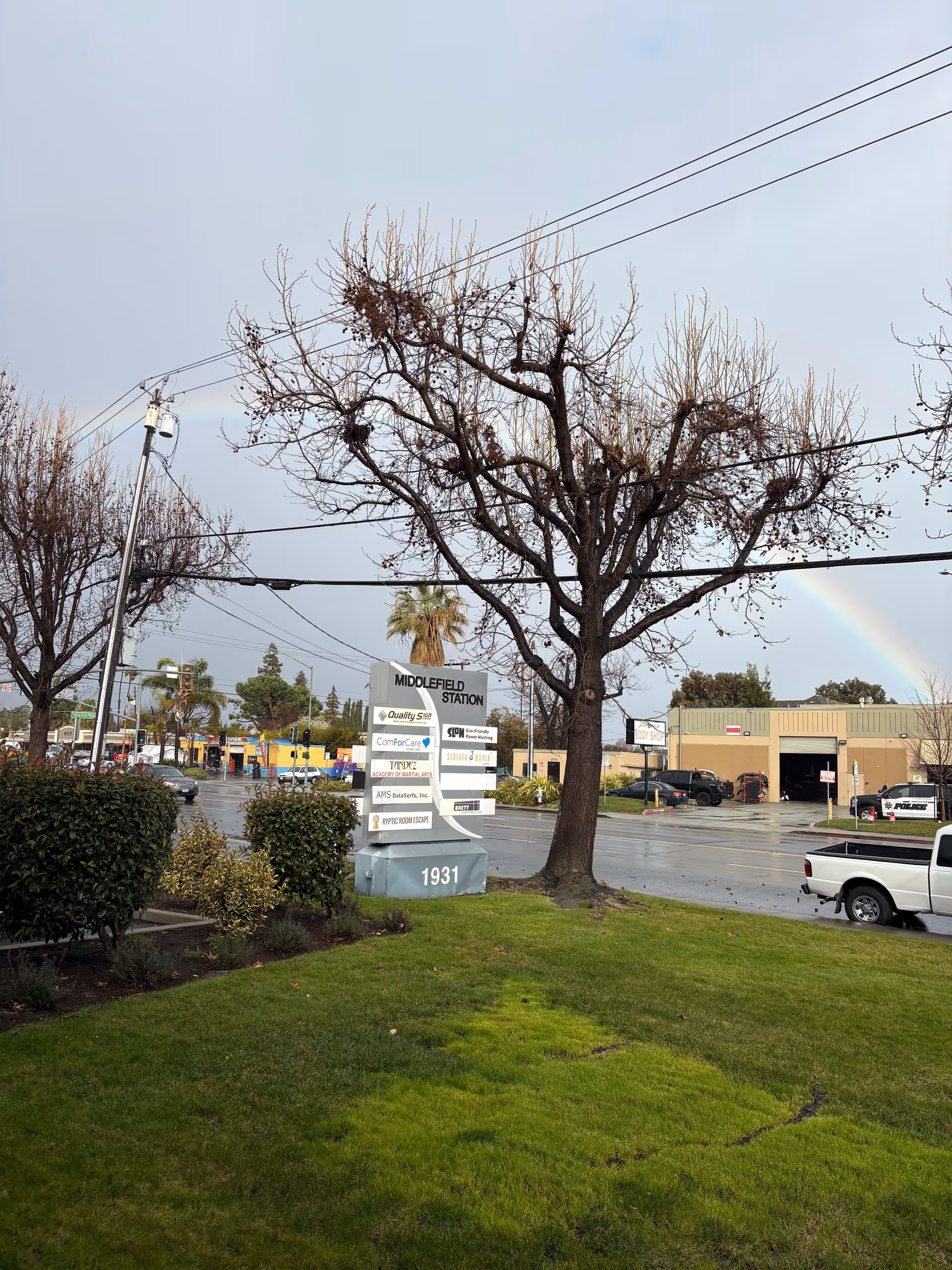 Outdoor street view with a bare tree, rainbow, and a multi-tenant sign.