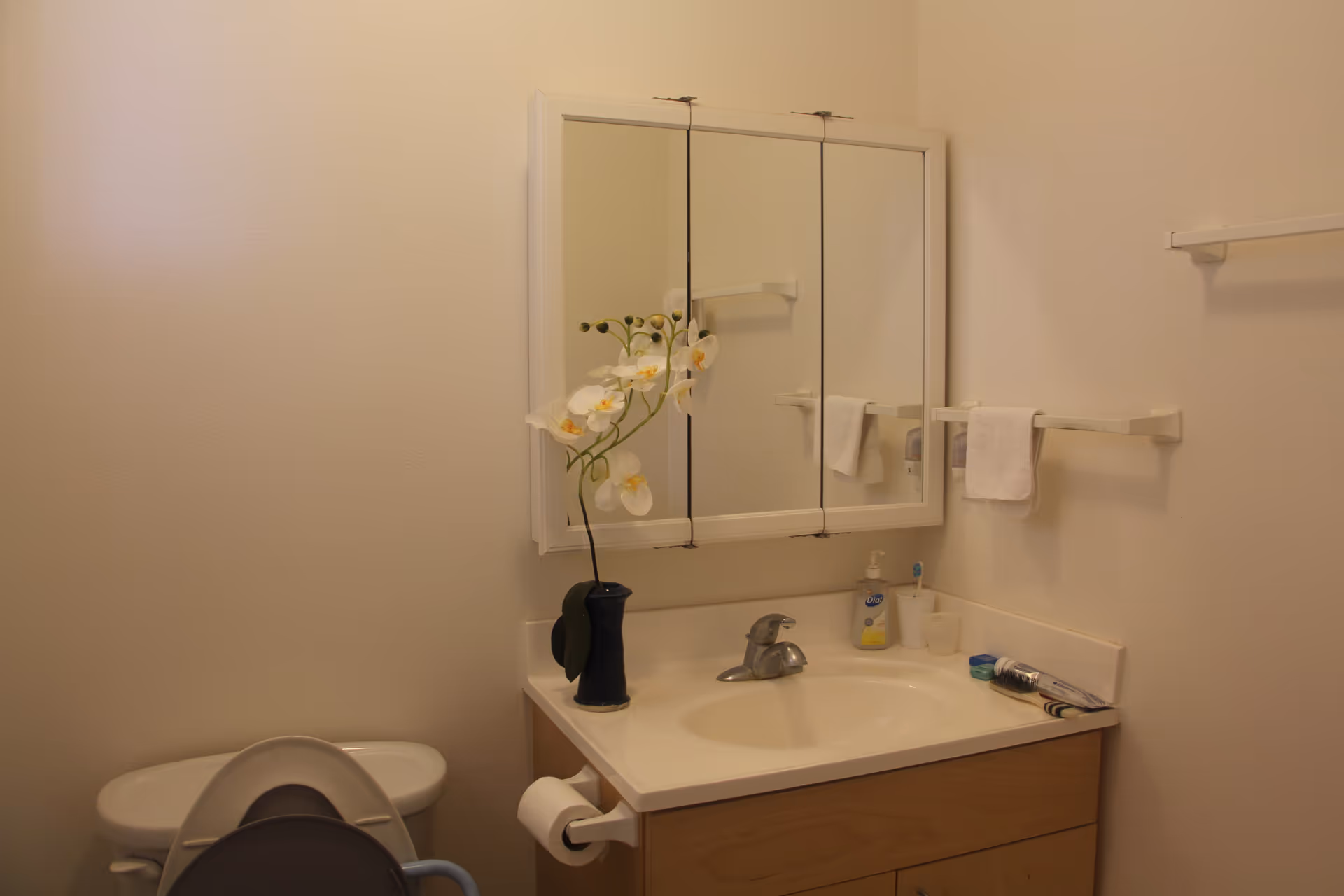 A clean bathroom with sink, mirrored vanity, towels, and a decorative orchid plant.