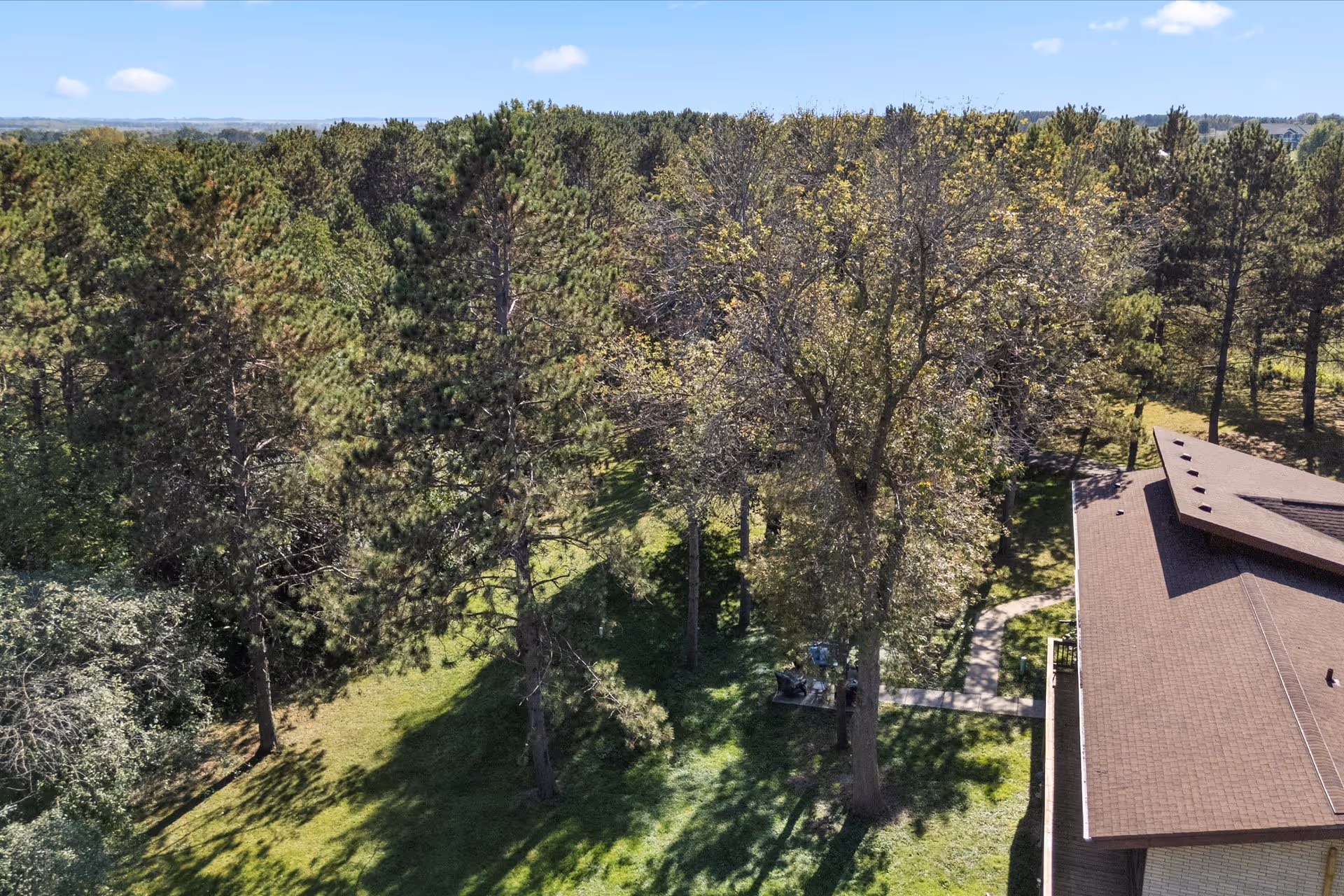 Aerial view of trees surrounding a brown-roofed building at Legacy Pines Assisted Living & Memory Care.