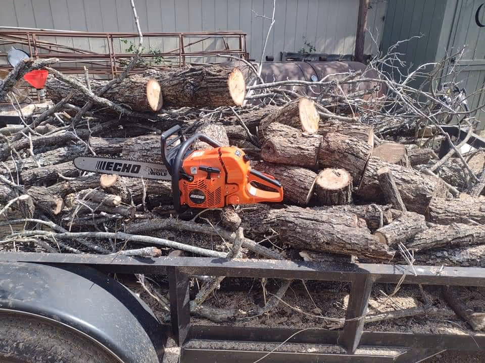 Orange chainsaw rests on a pile of cut logs on a trailer outdoors