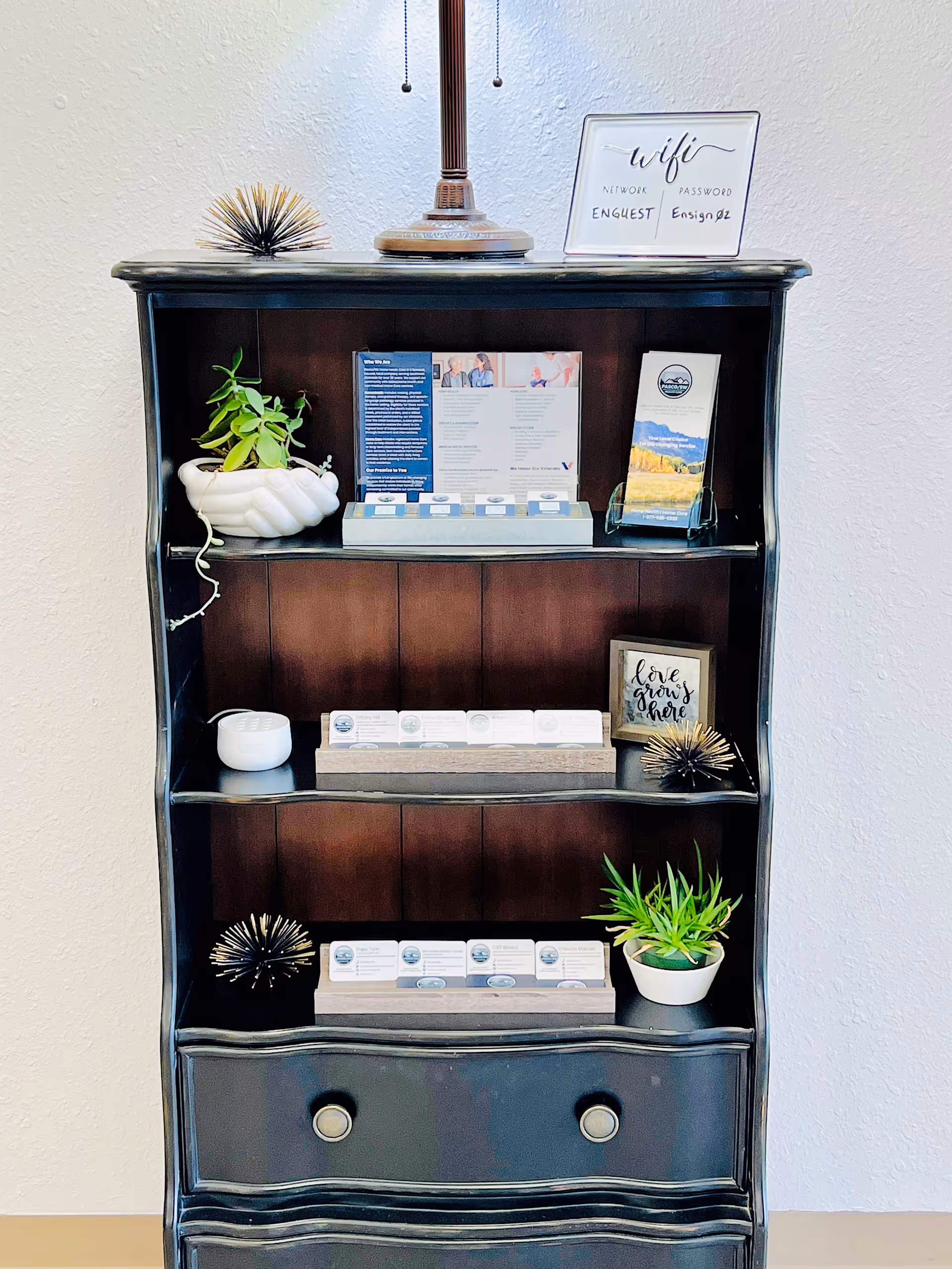 A wooden display shelf holds brochures, decor, and potted plants in a bright hallway.