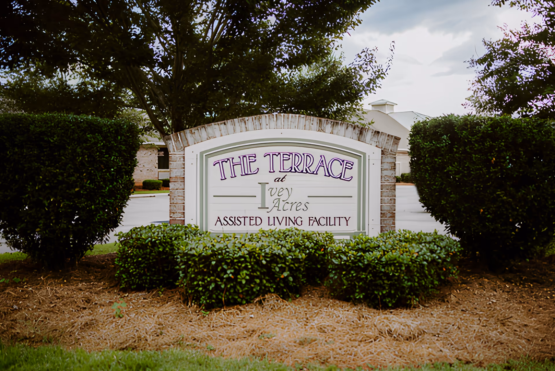 Entrance sign reading 'The Terrace at Ivey Acres Assisted Living Facility' surrounded by hedges and trees.