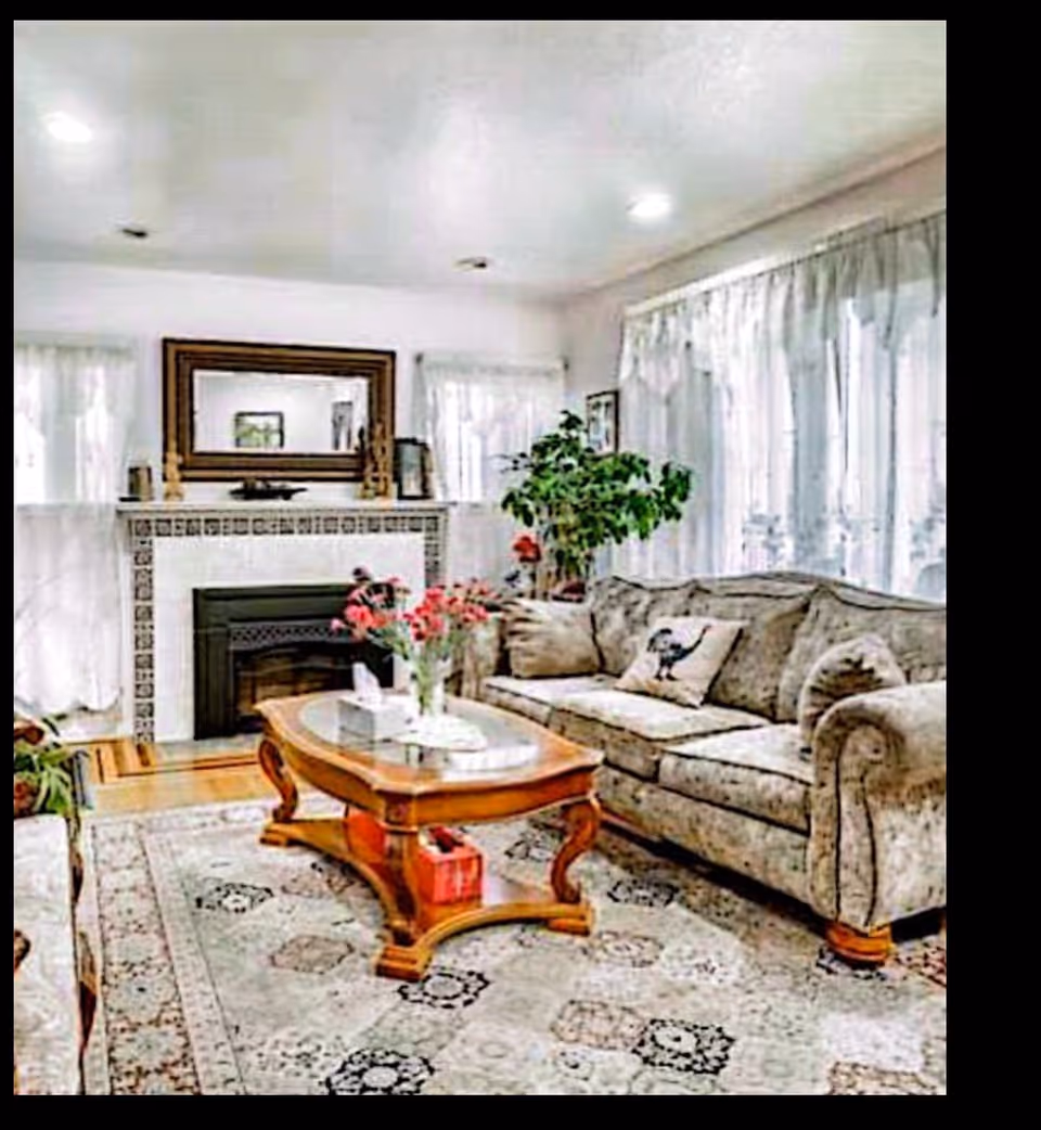 Cozy living room with sofa, coffee table, fireplace, rug, and potted plants.