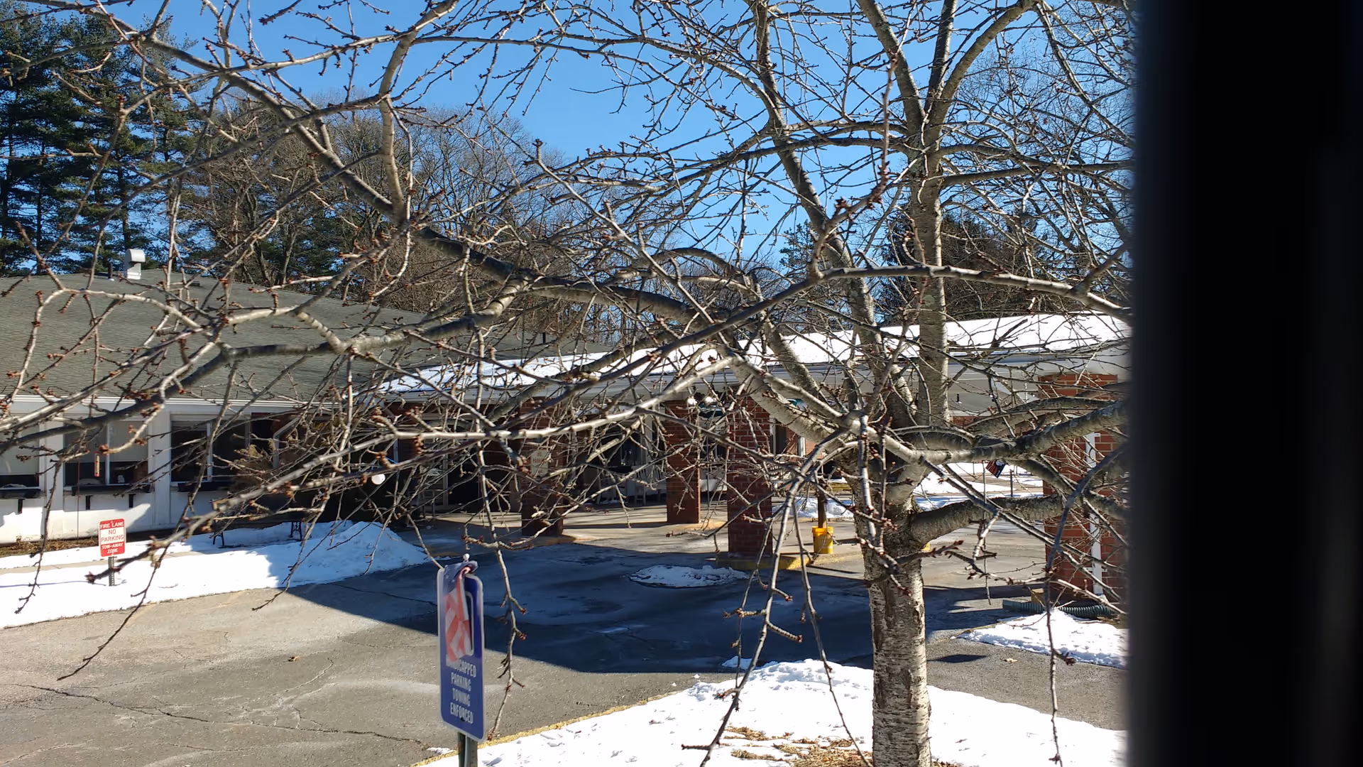 Exterior view of Complete Care at Fox Hill with a leafless tree and snowy ground.