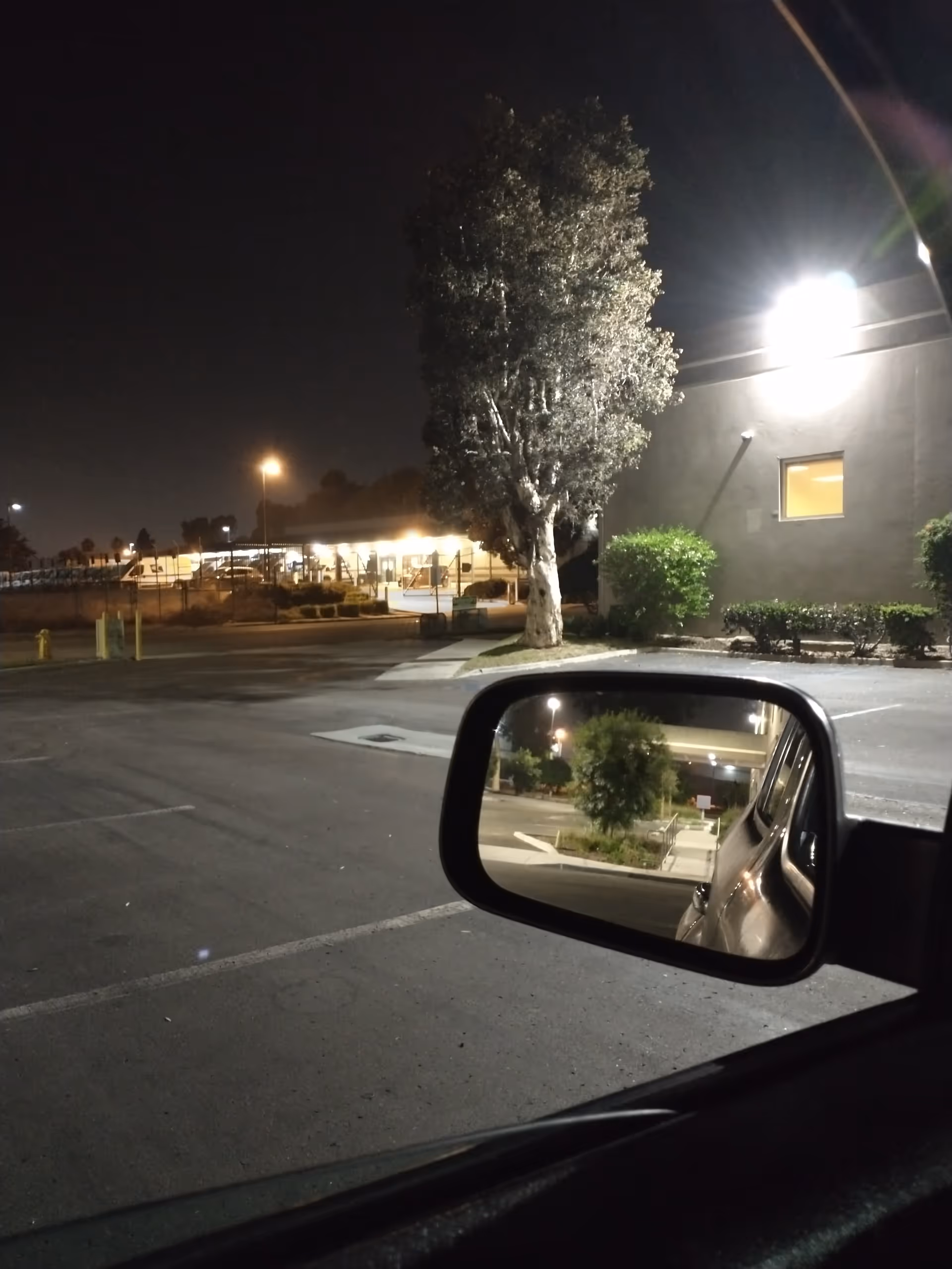 Night exterior of a facility with a tall tree, parking lot, and car side mirror.