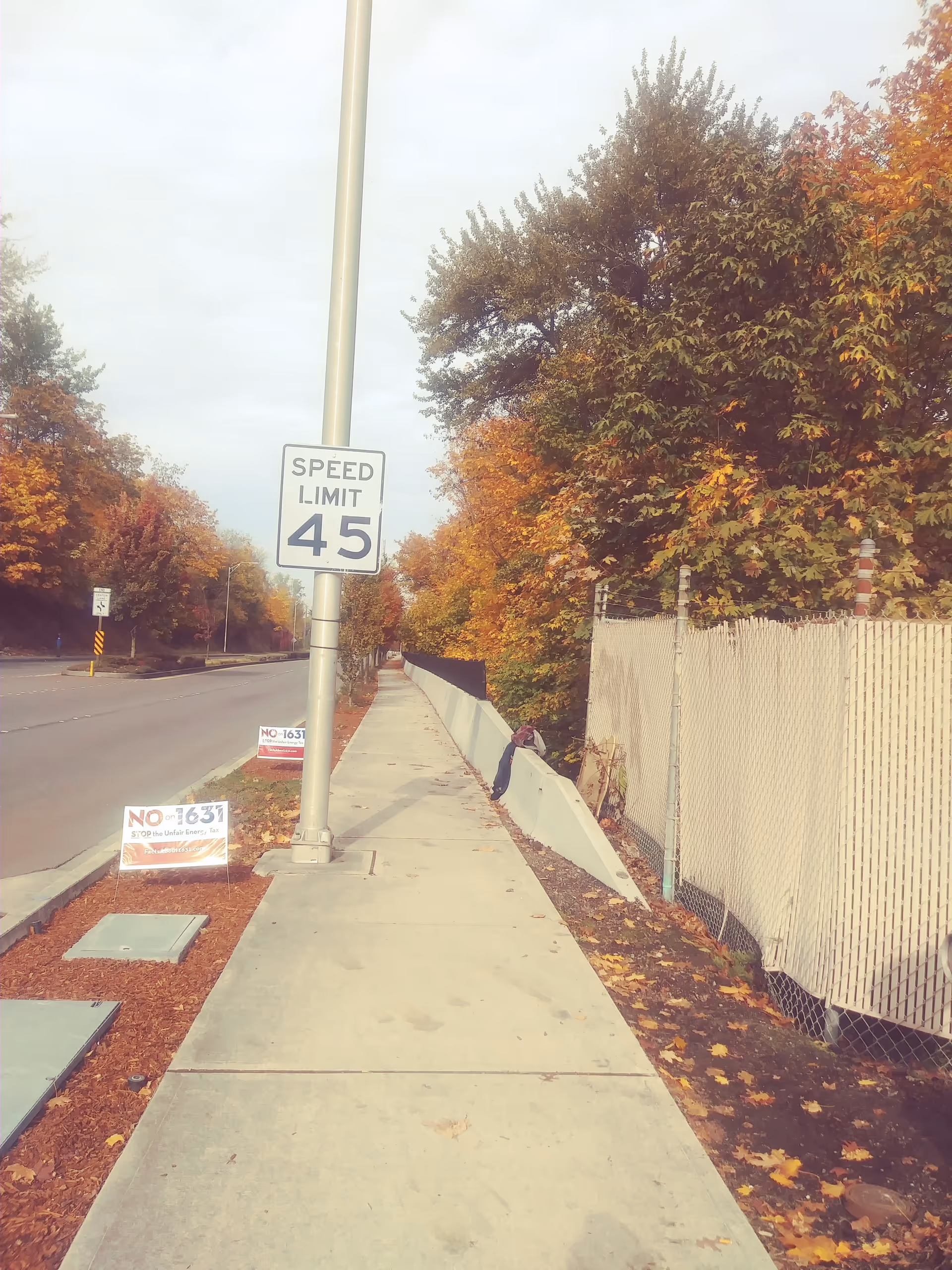 Empty sidewalk along a street with autumn trees, a fence, and a speed limit sign.