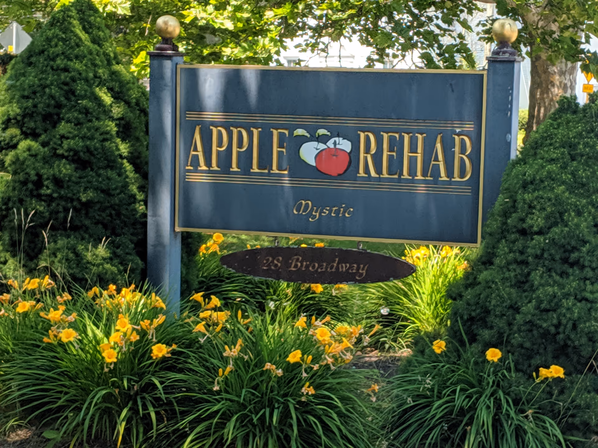 Blue Apple Rehab Mystic sign with yellow flowers and manicured greenery in front.