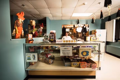 Shop counter with a glass display case and assorted snacks in a pastel colored hallway.