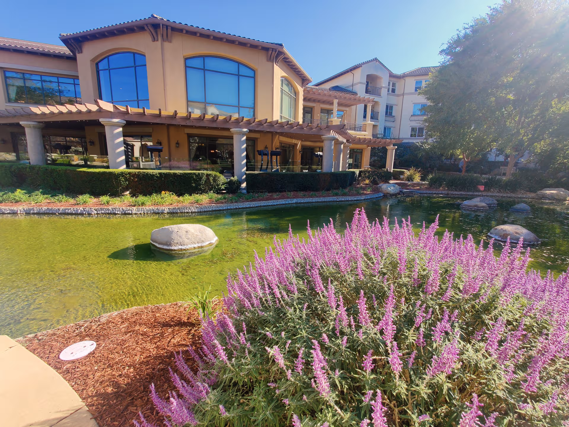 Stoneridge Creek exterior building with patio, landscaped pond, and purple flowers in foreground.