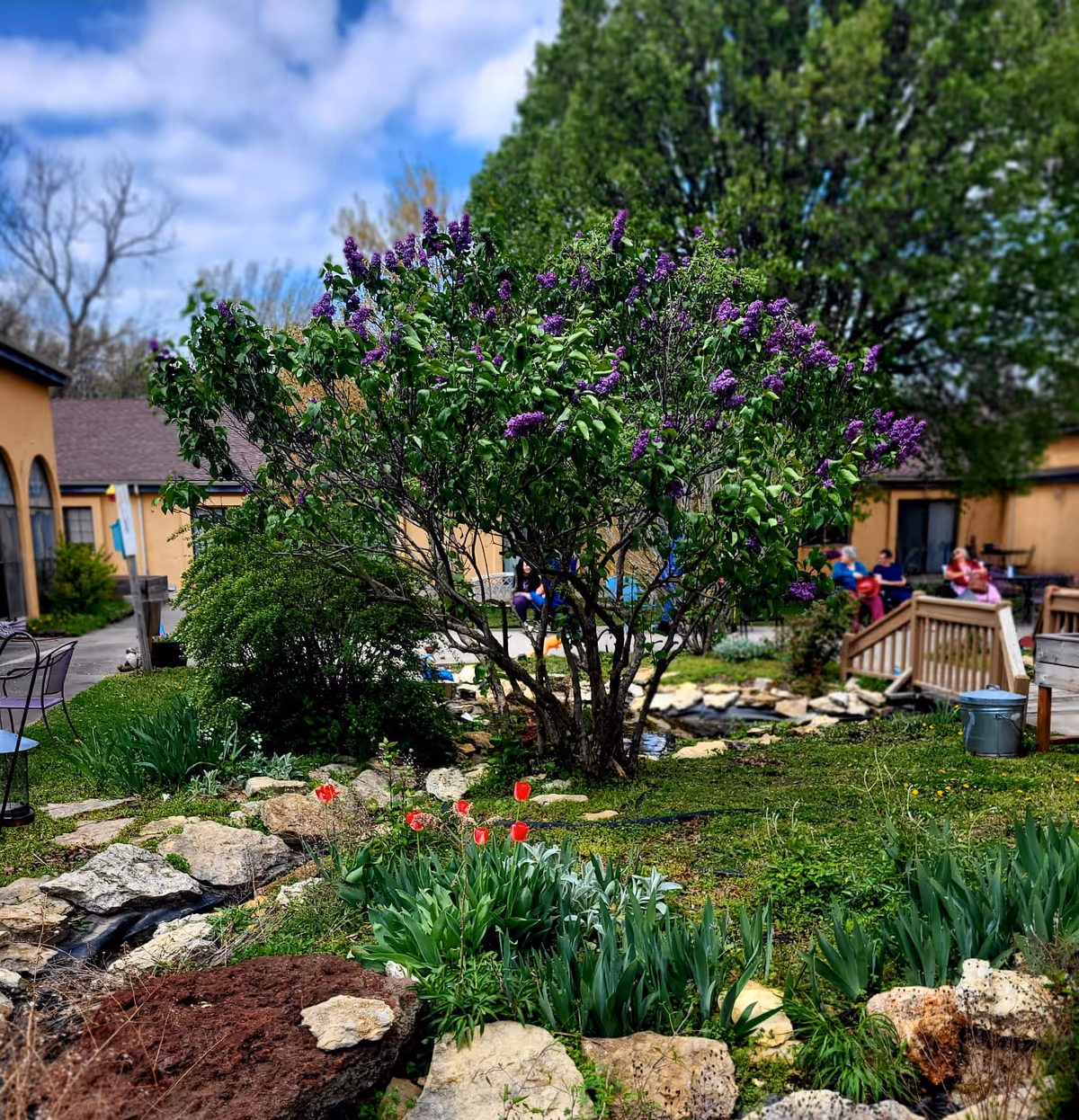 A vibrant outdoor garden area at New Mark Rehab and Healthcare Center featuring a blooming lilac tree with purple flowers, red tulips, green shrubs, and rocks. In the background, there are several people sitting and relaxing near a small wooden bridge and a pond, with the facility buildings visible under a partly cloudy blue sky.