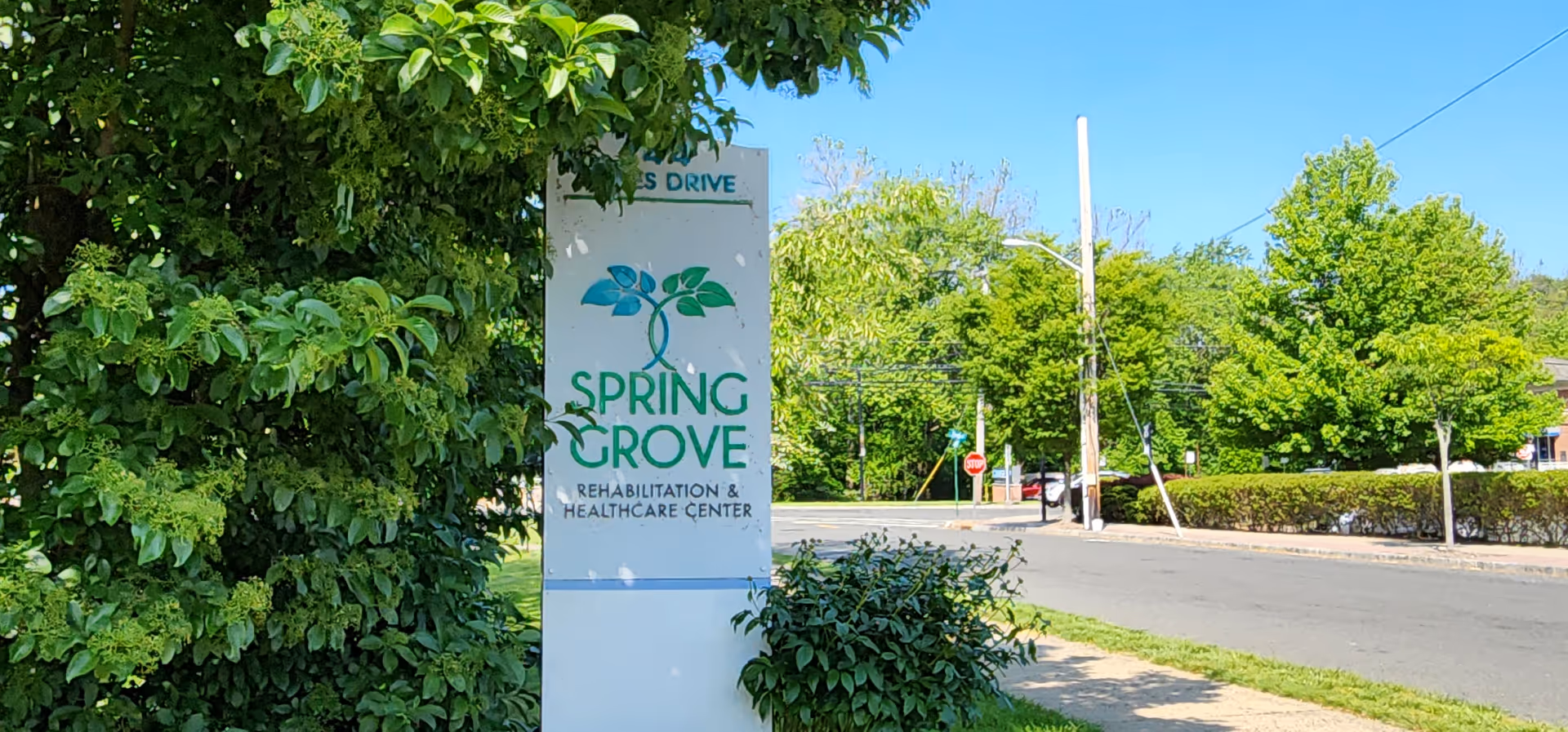Outdoor view of Spring Grove Rehabilitation and Healthcare Center sign beside a tree-lined street.