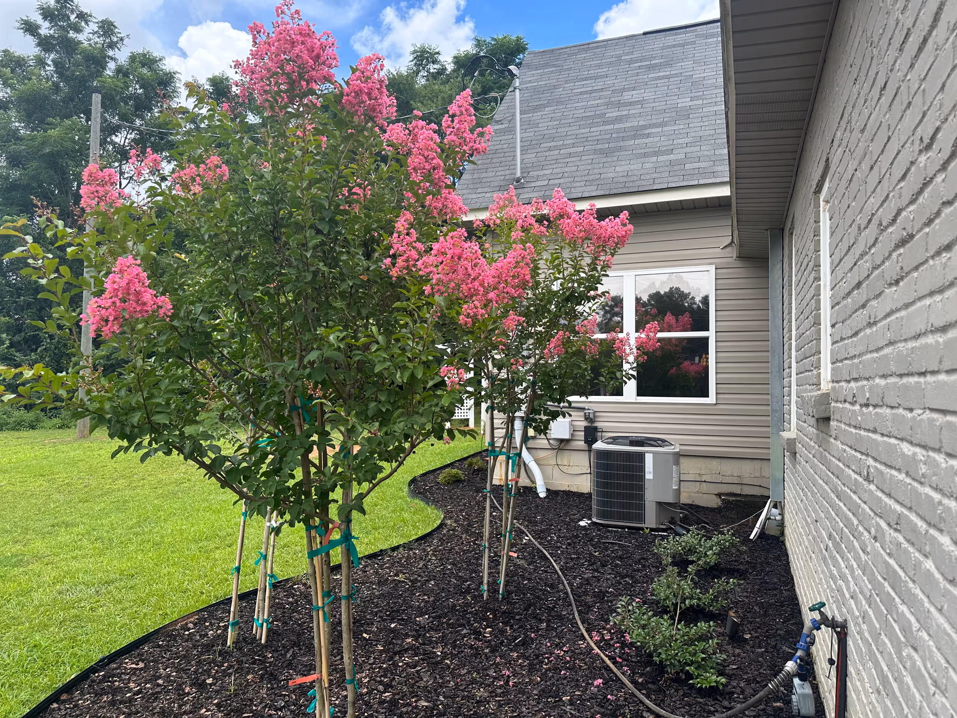 Exterior view of a beige building with pink flowering trees, a lawn, and an A/C unit.