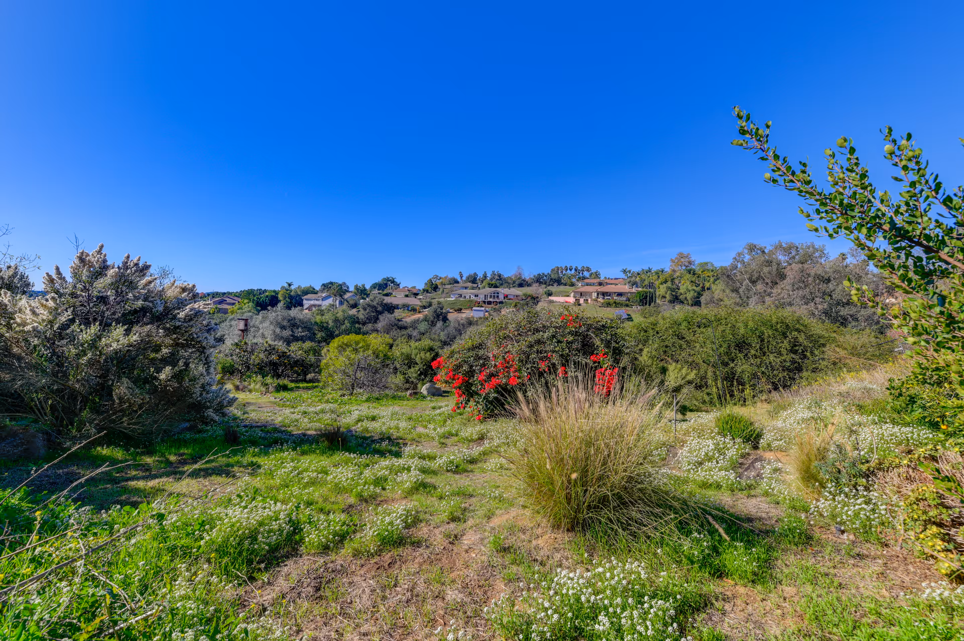 Wide outdoor landscape with blue sky, rolling hills, native shrubs, and distant houses.