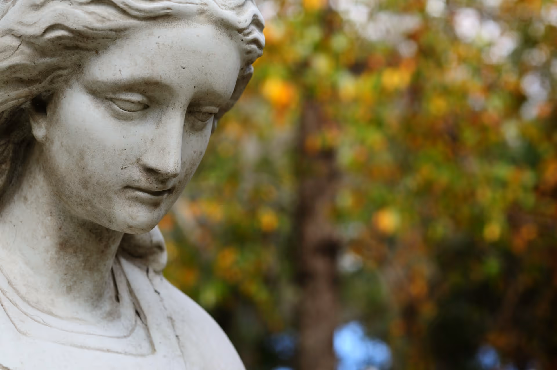 Close-up of a stone female statue's face with blurred autumnal foliage in the background.