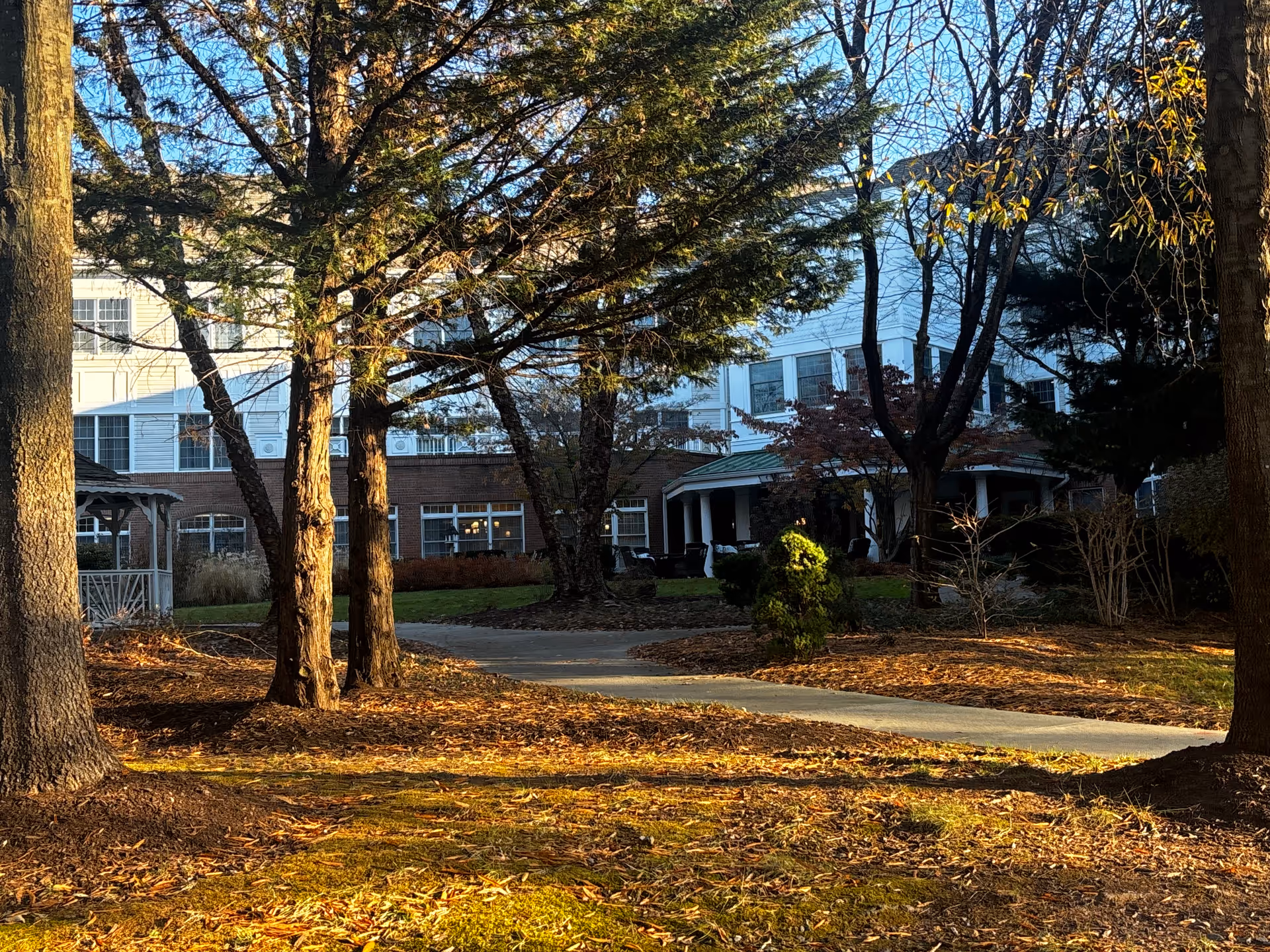 Front exterior of a multi-story senior living building seen through trees with a walkway and gazebo in the foreground.
