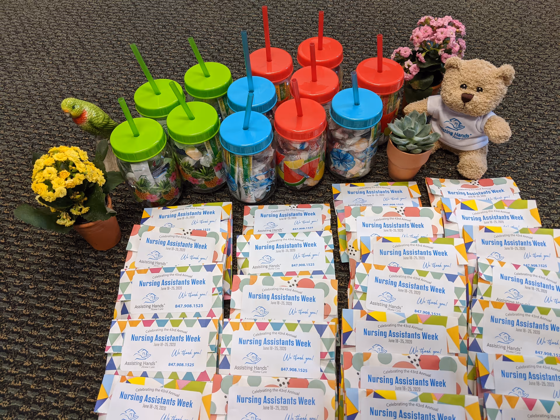 Colorful cups with straws, brochures, potted plants, and a teddy bear on a patterned carpet.