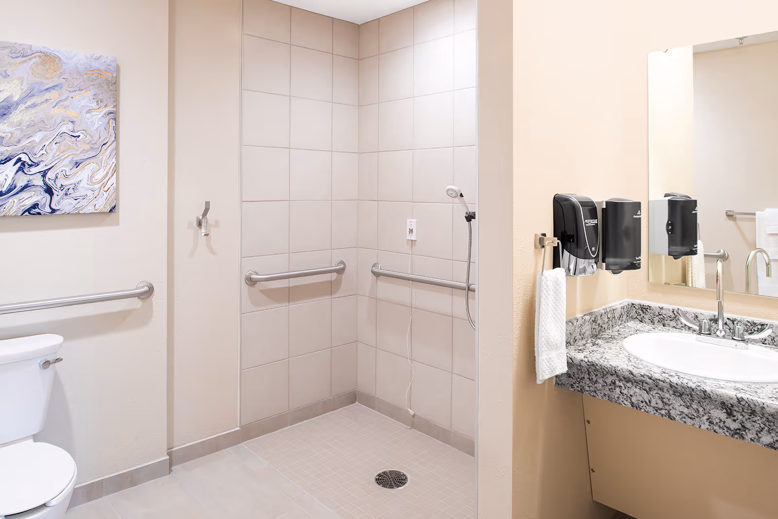 Accessible bathroom with shower, grab bars, toilet, and granite sink counter.