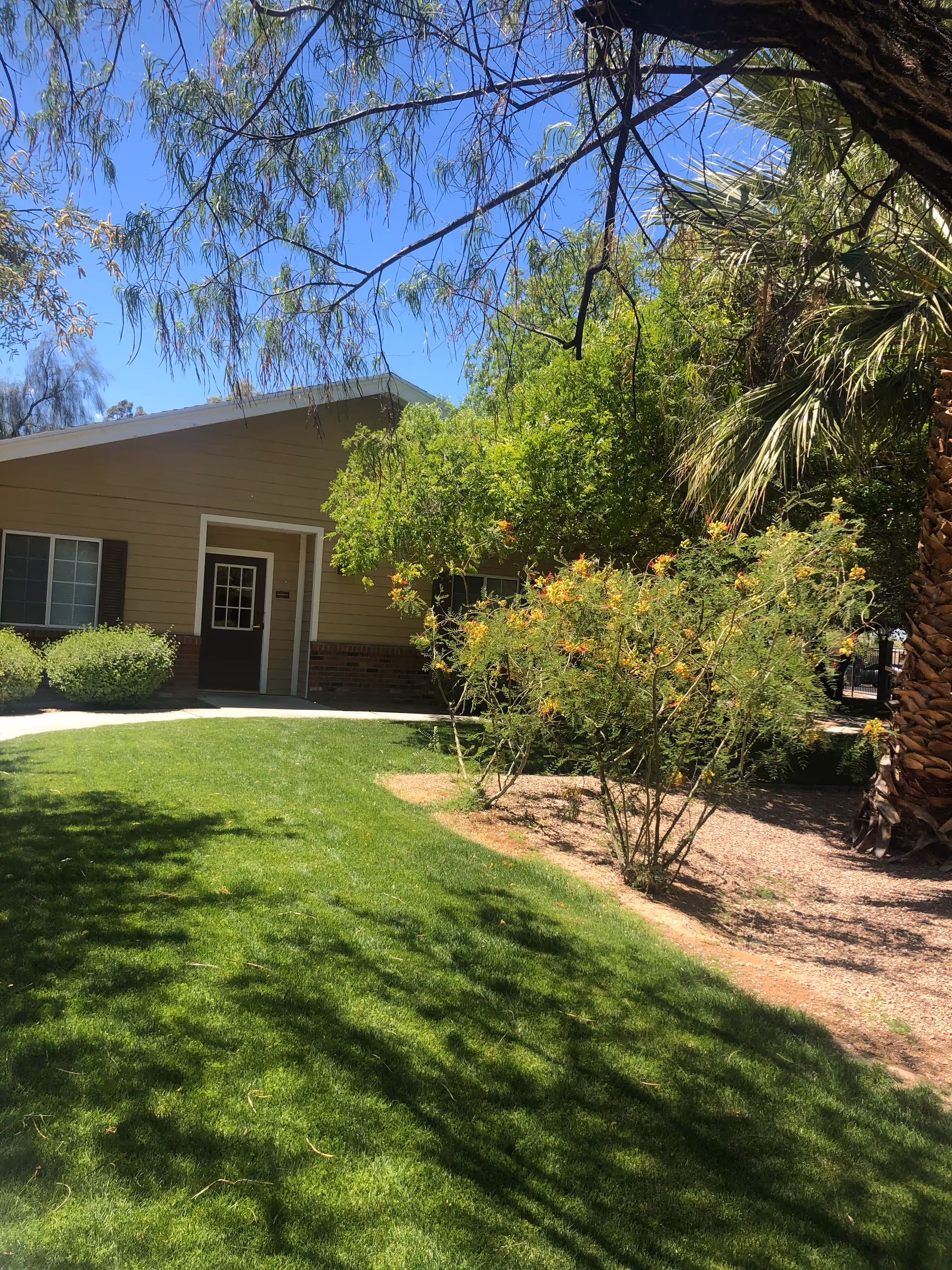 Front view of a single-story beige building with a door, green lawn, and trees.