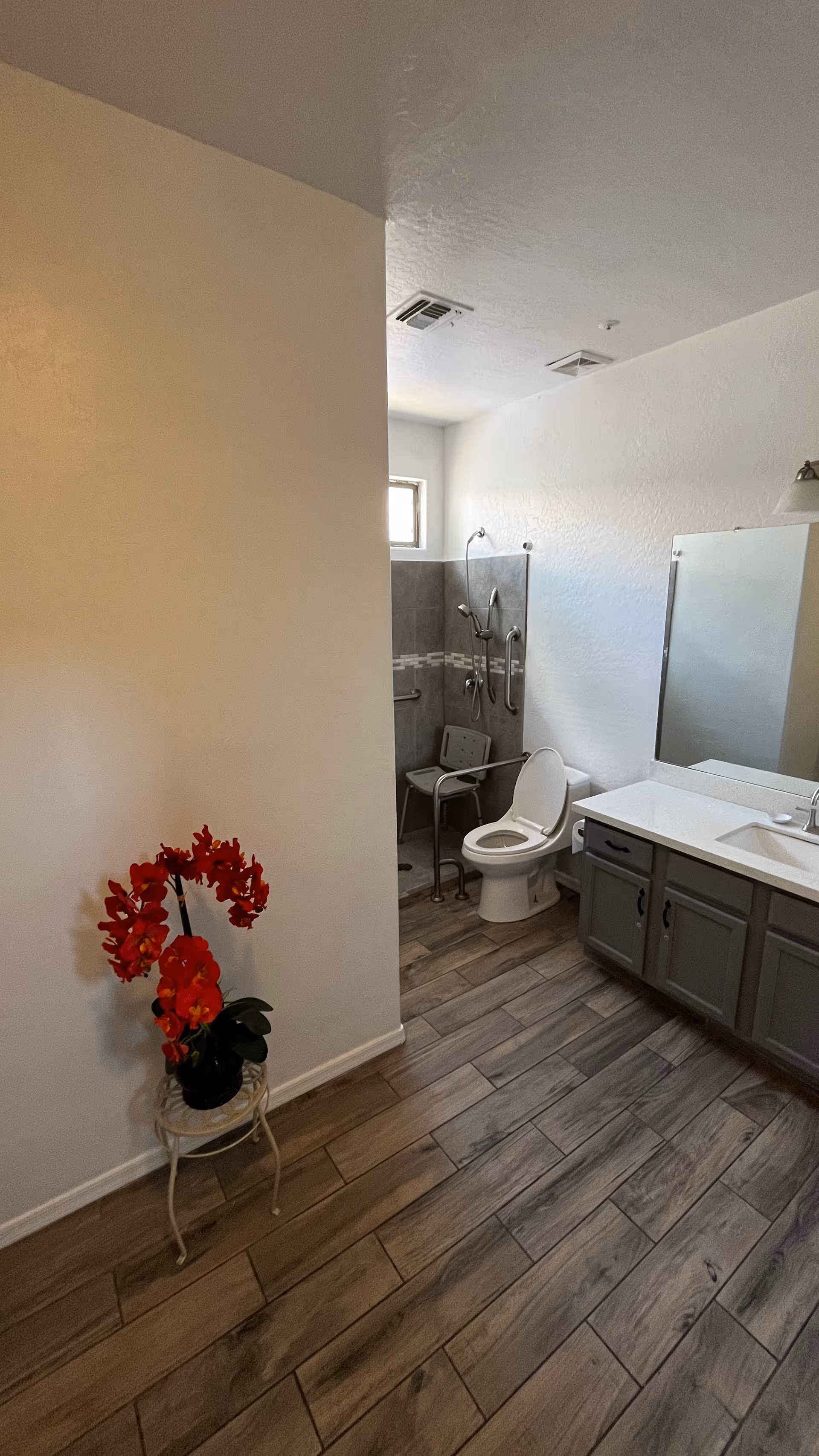 Bathroom in a senior living facility with toilet, shower, sink, mirror, and red plant.