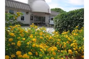 Front exterior of Avante Villa at Jacksonville Beach with yellow flowers in foreground