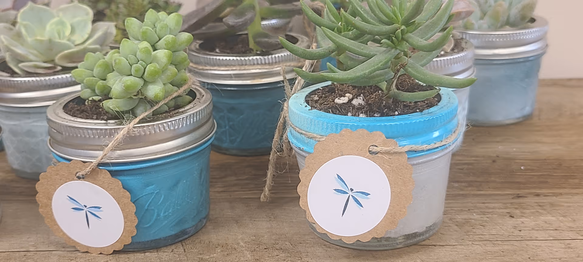 Small succulent plants in blue jars with twine on a wooden surface.