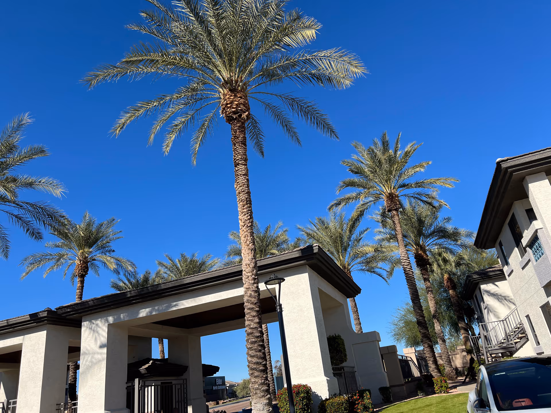 Bright day with tall palm trees framing the front entrance of Augusta Assisted Living.