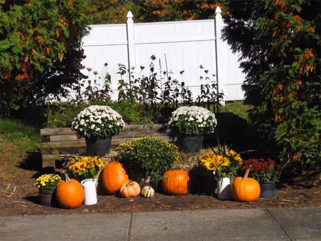 Outdoor fall display with pumpkins, mums, and potted flowers against a wooden raised bed.