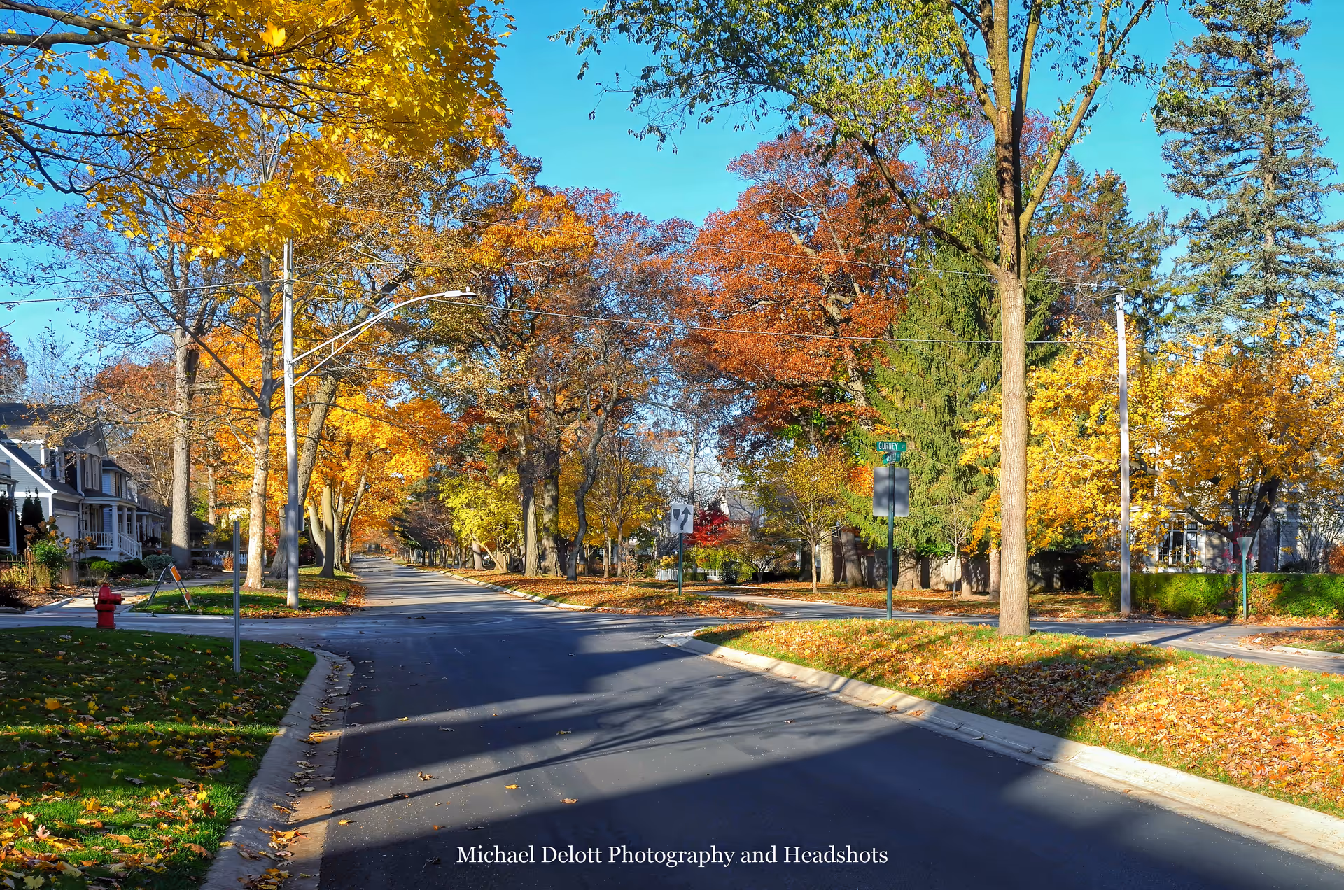 Autumn street lined with colorful trees and houses along a quiet residential neighborhood.