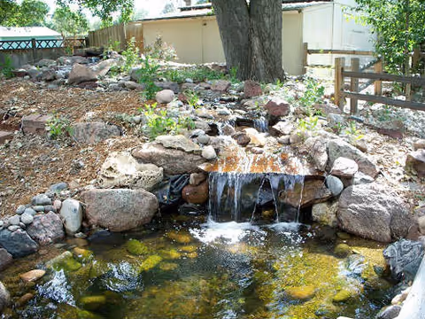 Outdoor garden features a rock waterfall cascading into a pond among trees.