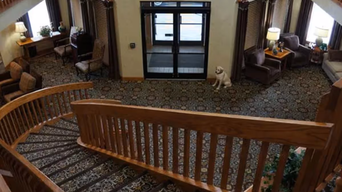Interior view of a senior living facility lobby with a curved wooden staircase, patterned carpet, multiple seating areas with chairs and lamps, and a dog sitting near the glass entrance doors.