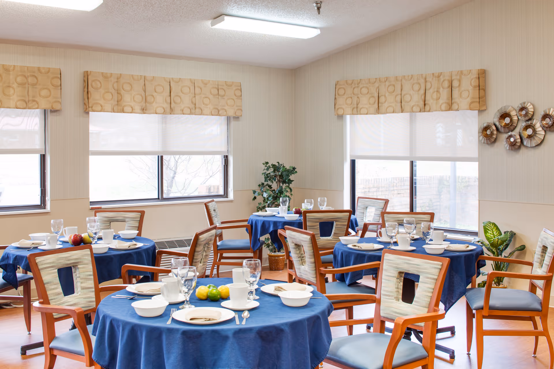 A bright dining room with several round tables covered in blue tablecloths, each set with white dishes, cups, silverware, and glasses. Wooden chairs with cushioned seats and backs surround the tables. The room has large windows with beige valances, potted plants, and decorative wall art.