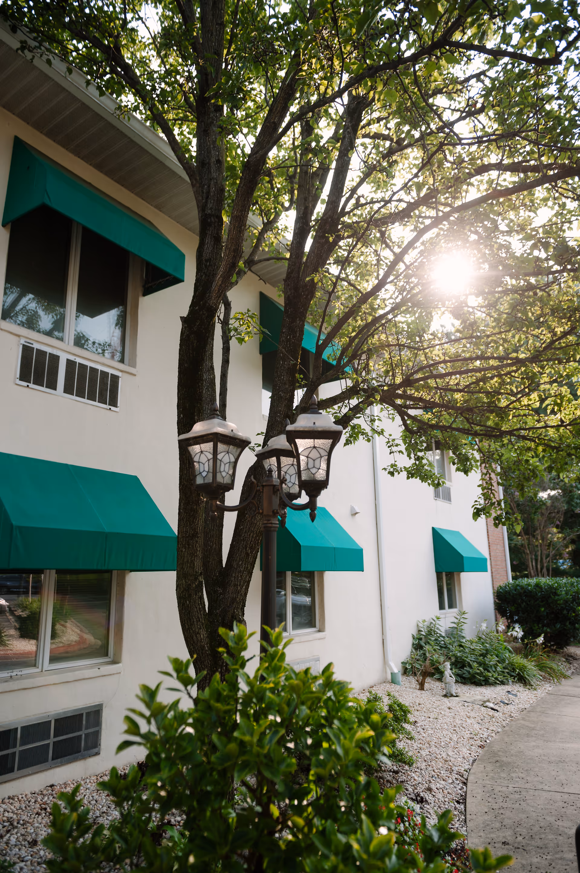 White building exterior with green awnings, trees, and a sunlit pathway.