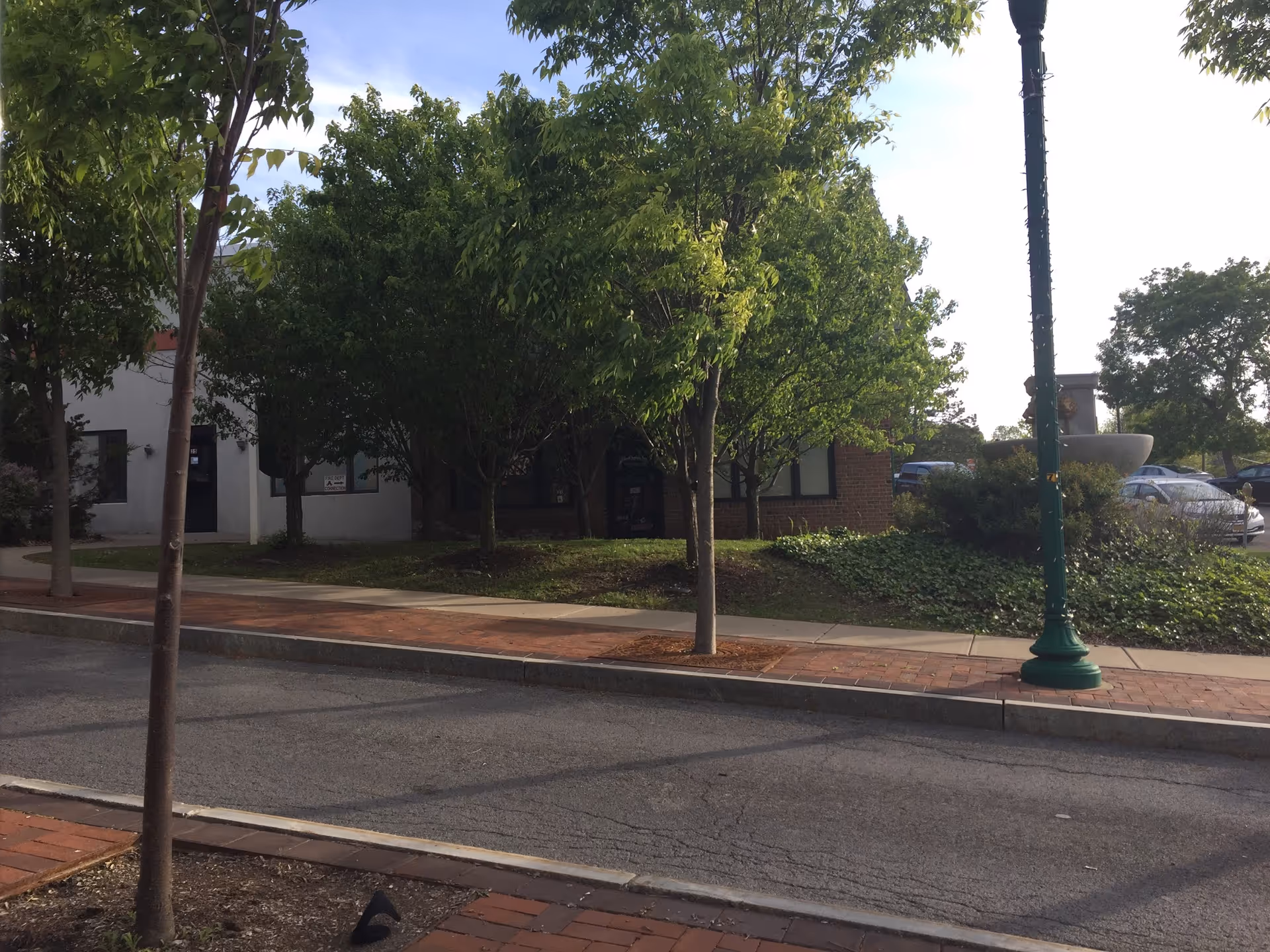 Street view of a senior living facility exterior with trees, sidewalk, and a lamppost.