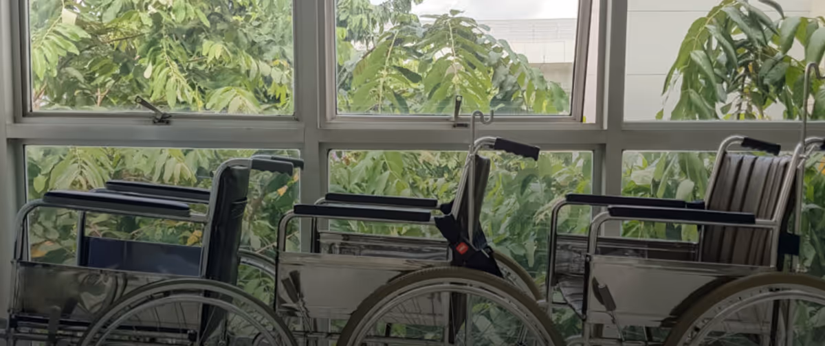 Wheelchairs lined up inside a bright room with large windows and plants outside.