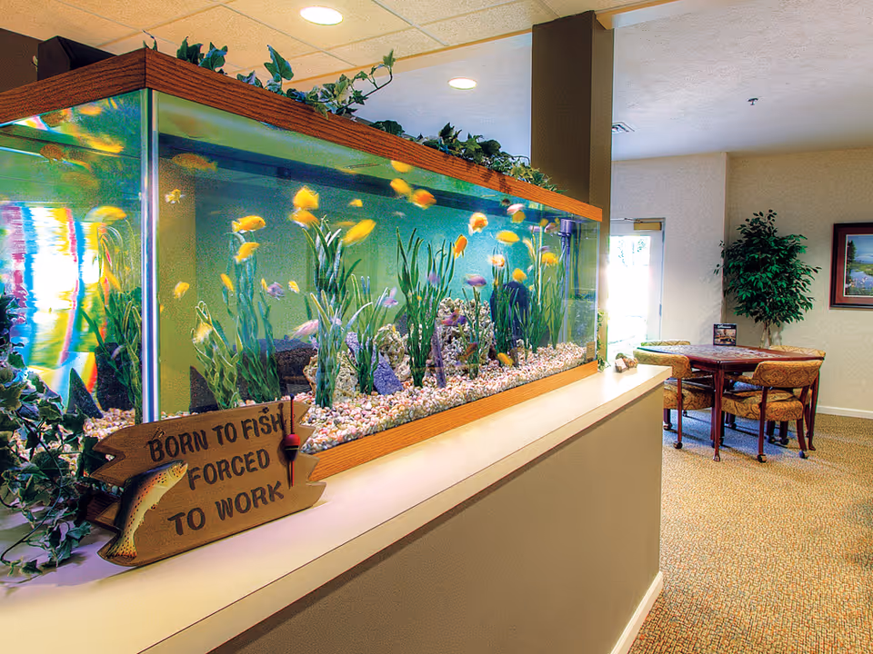 A large aquarium filled with colorful fish and aquatic plants is placed on a counter in a well-lit room. Next to the aquarium is a decorative wooden sign that reads 'Born to fish forced to work.' In the background, there is a table with four upholstered chairs, a potted plant, and a framed picture on the wall.