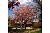 Front view of a building with pink flowering tree and entrance.