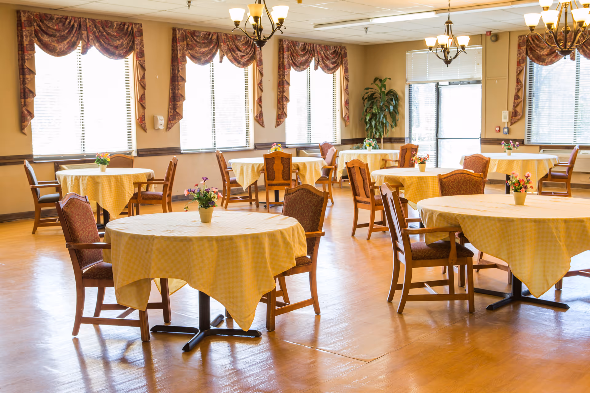A bright dining room with multiple round tables covered with yellow checkered tablecloths, each table decorated with a small flower pot. The room has large windows with patterned valances, wooden chairs with cushions, and chandeliers hanging from the ceiling. A potted plant is visible in the corner near a glass door.