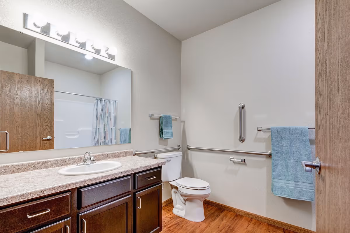A clean and accessible bathroom with a wooden floor, a white toilet with grab bars around it, a countertop with a sink, a large mirror above the sink, and two blue towels hanging on towel racks.