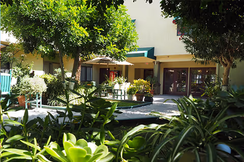 Sunlit courtyard with patio seating, umbrellas, potted plants, and greenery in front of a building.