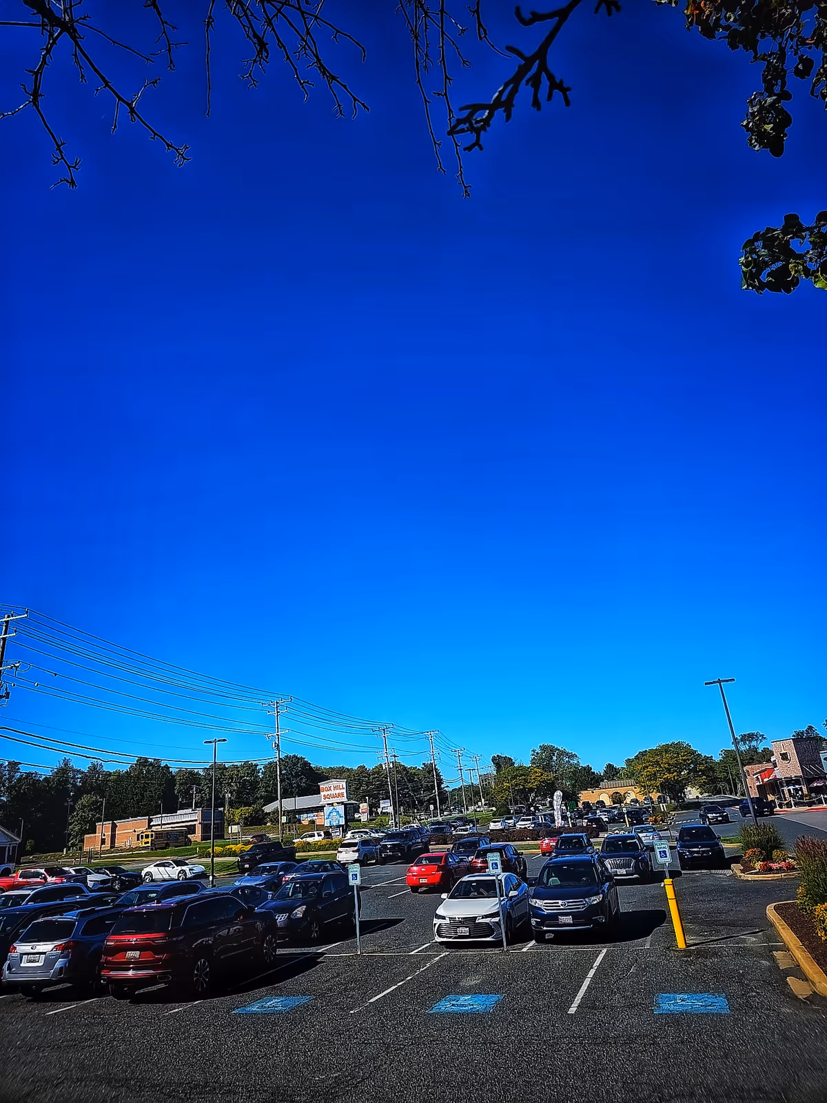 Bright blue sky over a crowded parking lot with storefronts in the distance