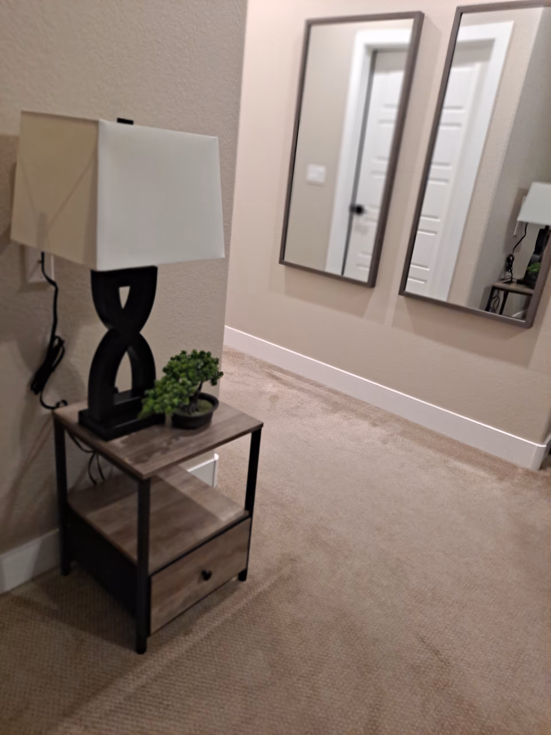 Hallway scene with a side table, lamp, small plant, and mirrors.
