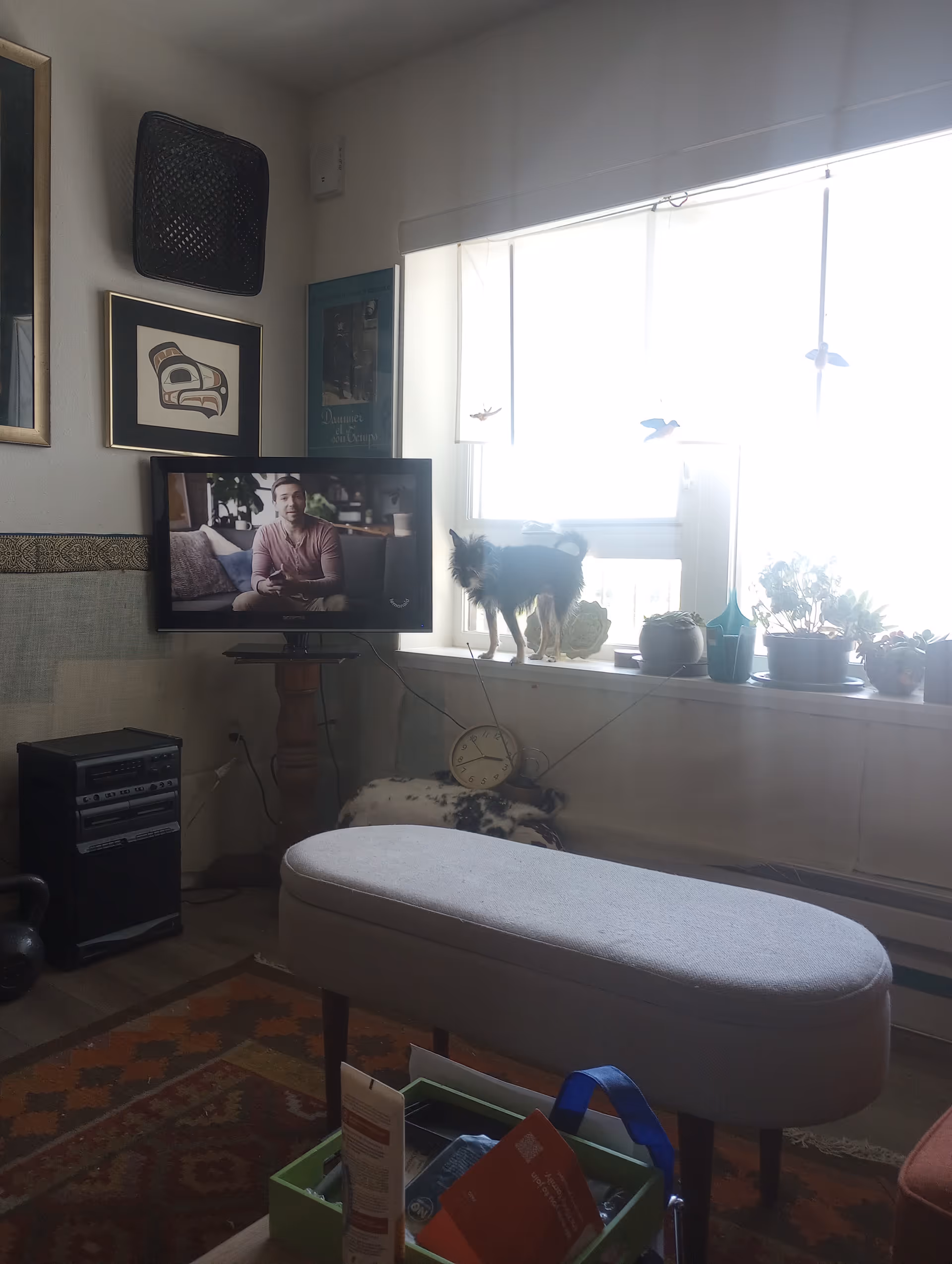 Cozy living room with TV, ottoman, plants, and a small pet by the window.